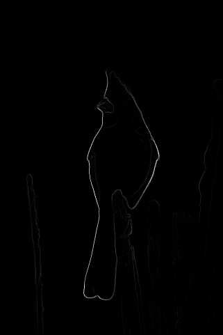 Edge Detection